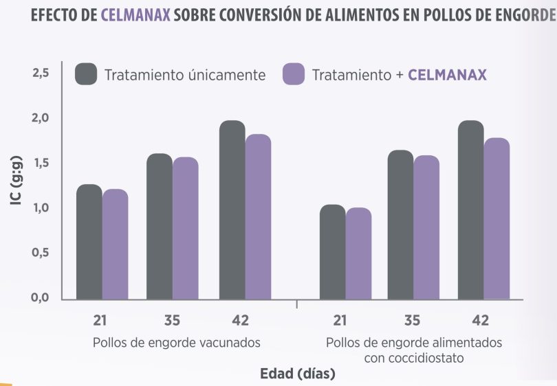 Alternativas A Los Antibióticos Promotores Del Crecimiento