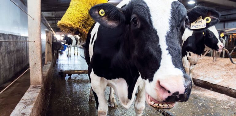 Agroceres Multimix apresenta sua estrutura de nutrição animal