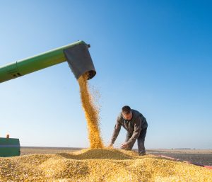 Brasil colhe 2,4 bilhões de toneladas de grãos em uma...