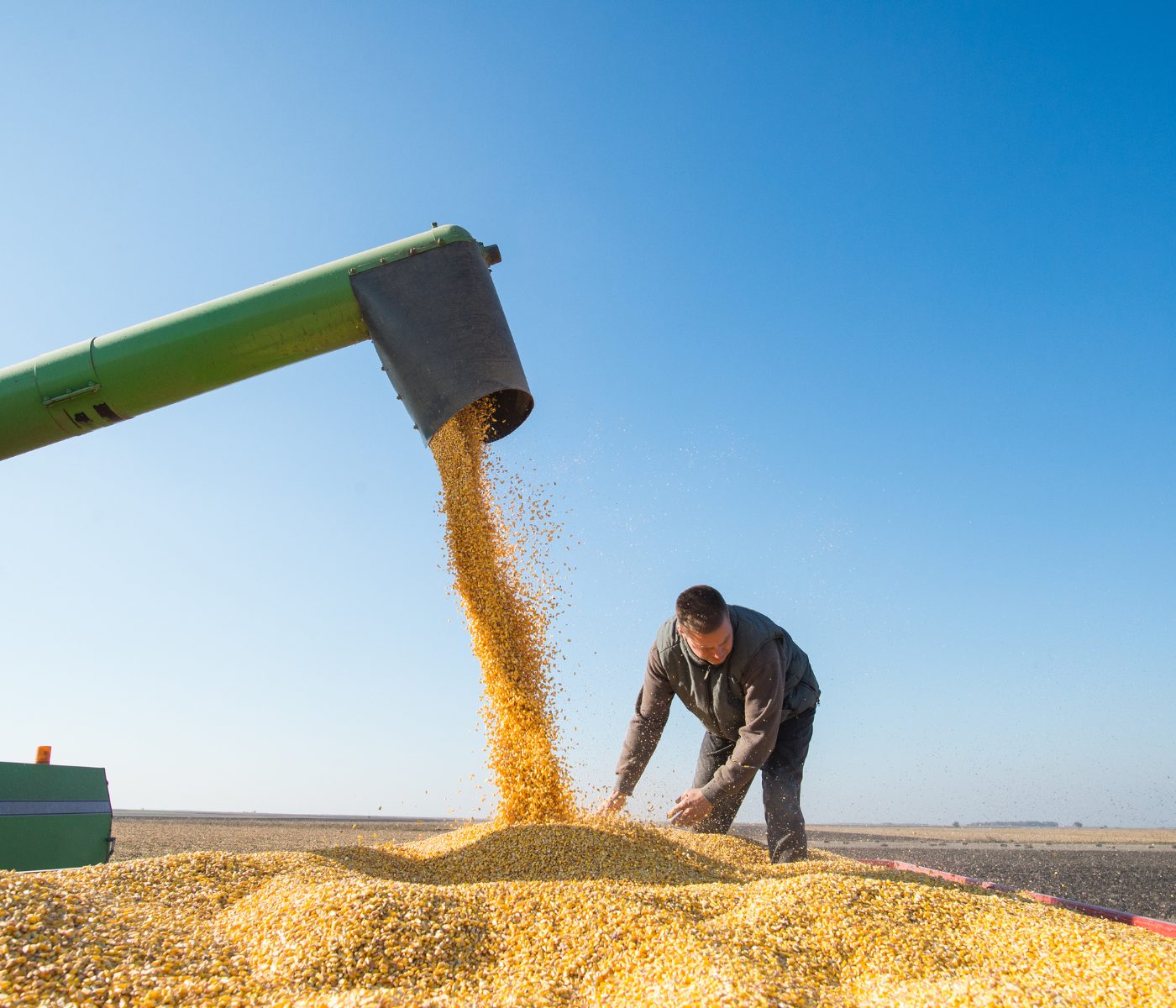 Brasil colhe 2,4 bilhões de toneladas de grãos em uma década