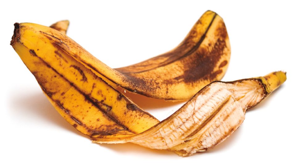 banana-micotoxinas
