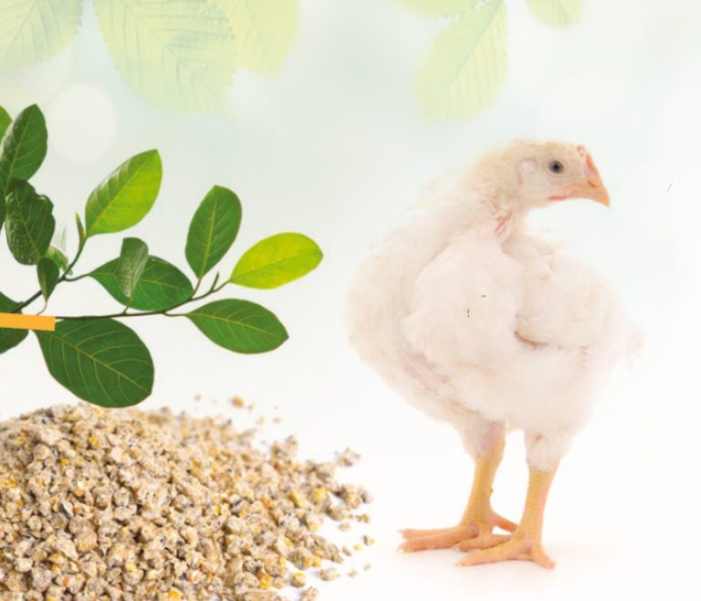 Kolin Plus<sup>TM</sup>, Una alternativa más ecológica al cloruro de colina