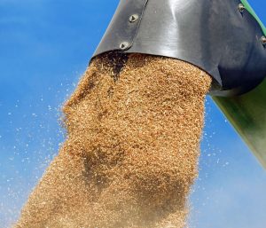 Novo recorde: produção de grãos 2022/23 chega a 322,8 milhões...