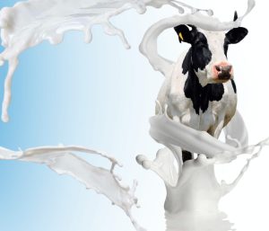 Dietas frías para reducir el estrés térmico en ganado bovino...