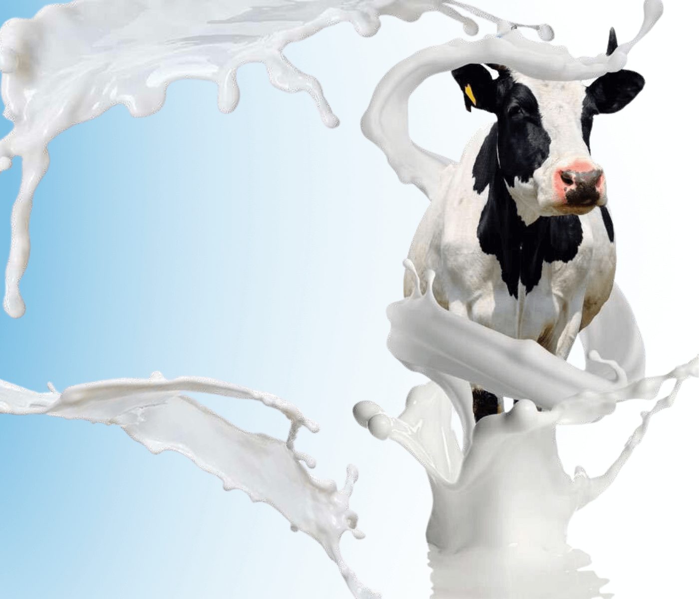 Dietas frías para reducir el estrés térmico en ganado bovino lechero