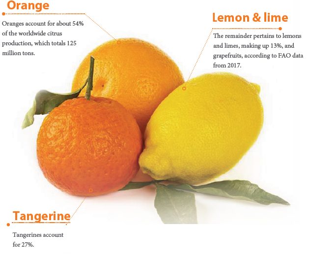 Citrus Pulp Definition & Classification (Raw Material Sheet)