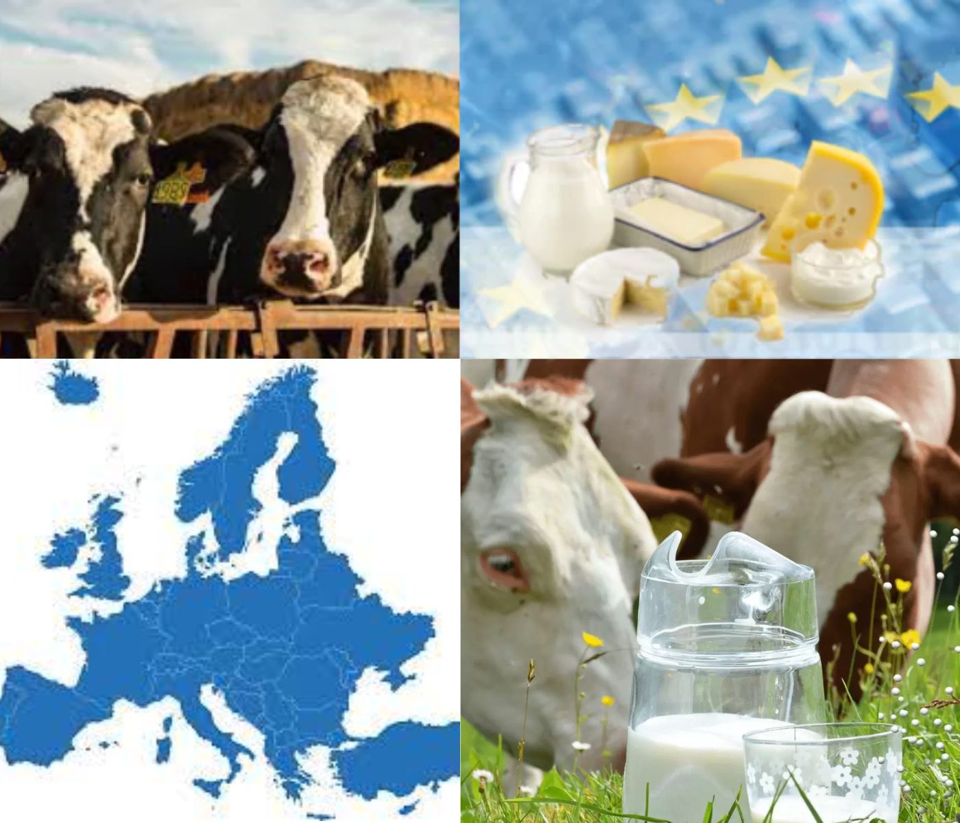 The European model of dairy production
