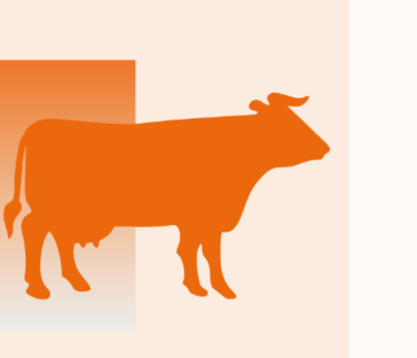 Evaluación del desempeño de MAXIVAL en ganado lechero