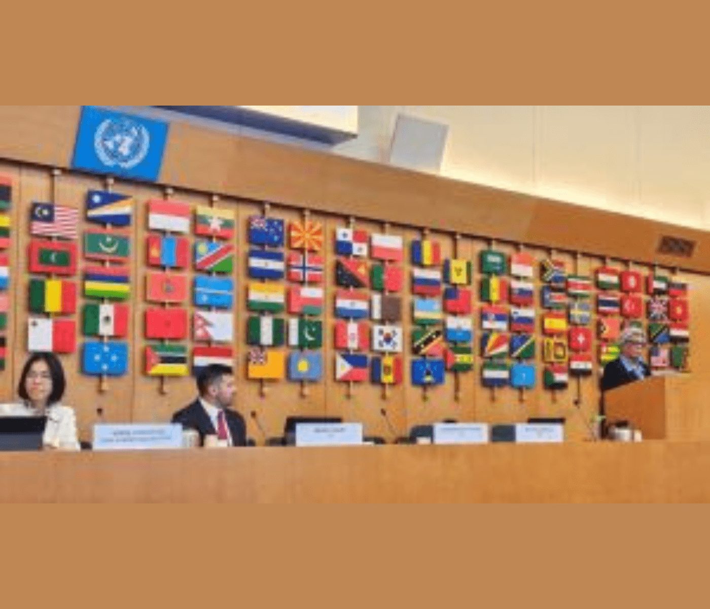 Sindirações participa das reuniões globais na sede da FAO em...