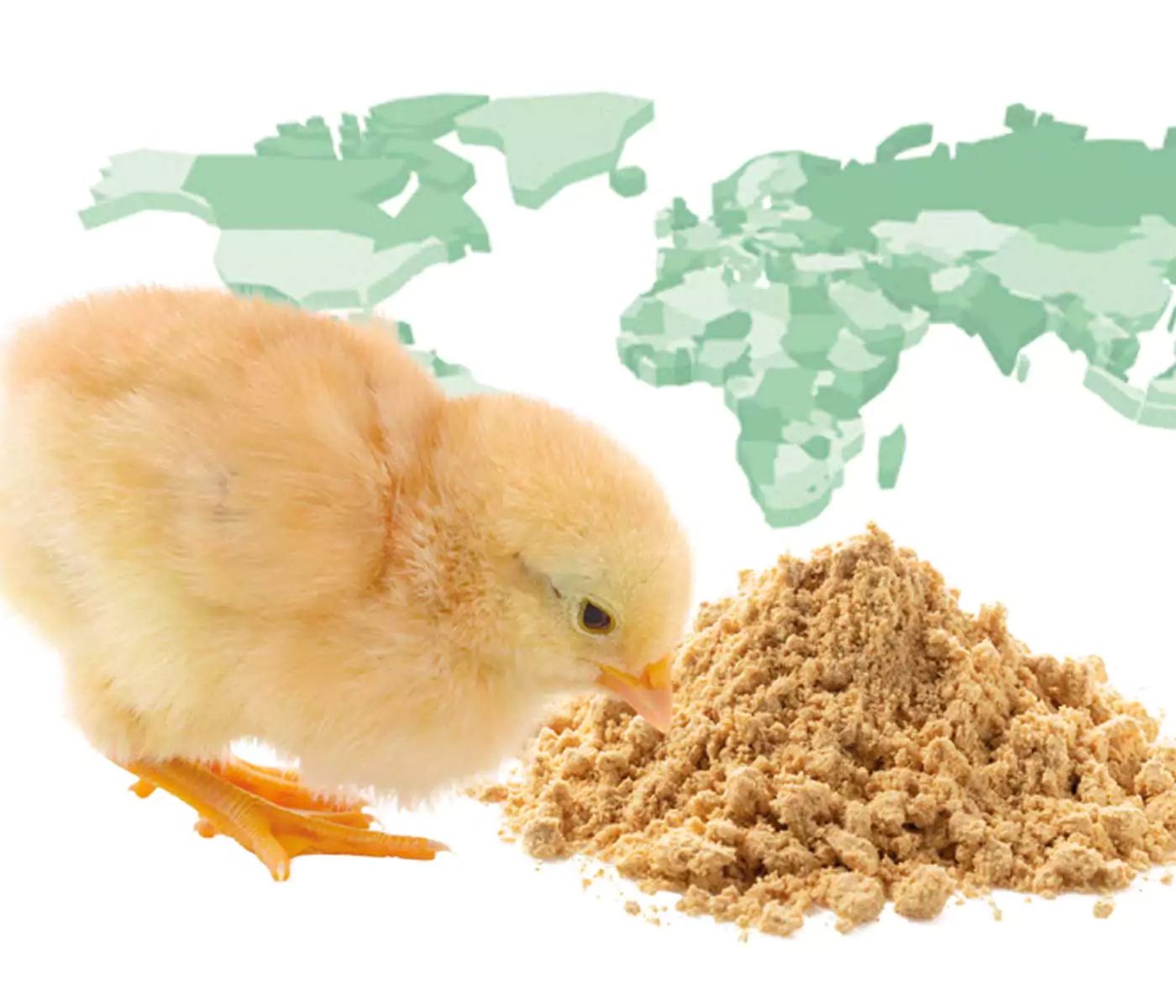 Soybean Origin Segregation in Poultry Feed: A Precision Nutrition Approach