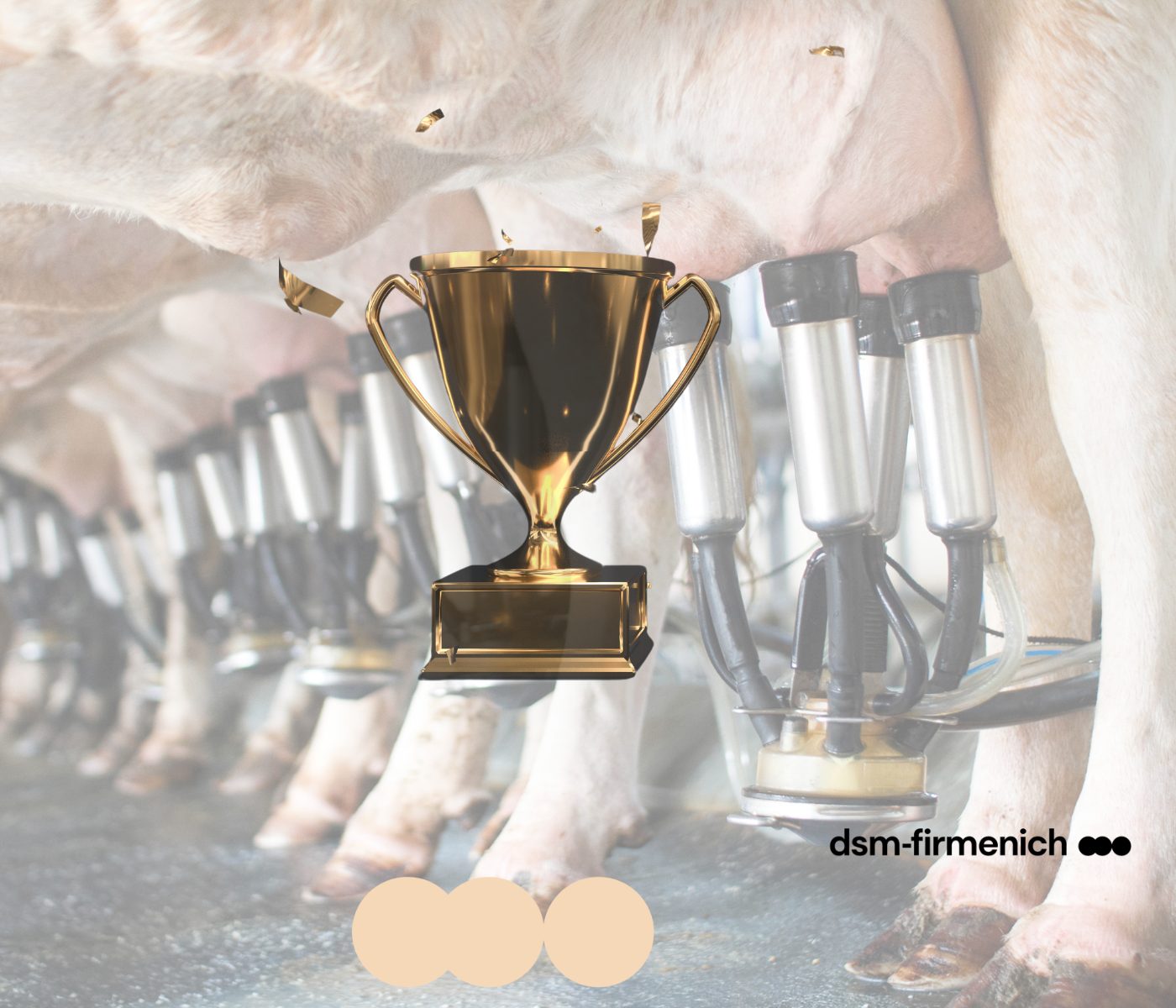 dsm-firmenich premia produtores pela qualidade do leite e sustentabilidade