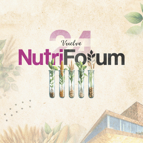 nutriforum – Robapáginas