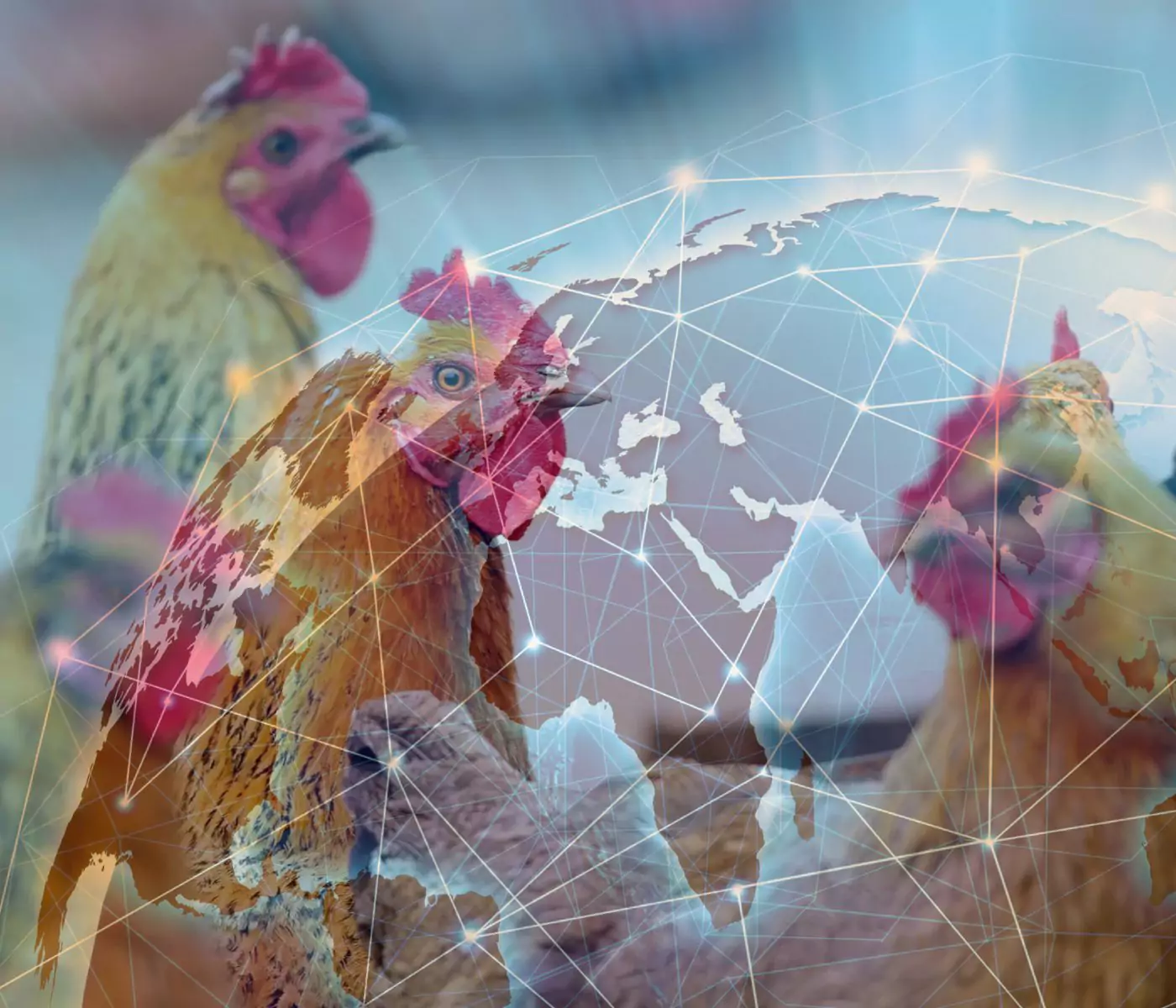 Advances in Poultry Nutrition: International Poultry Scientific Forum 2024