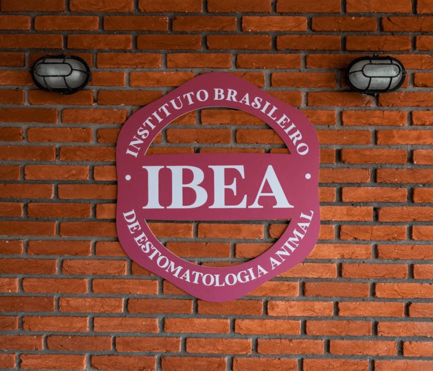 IBEA: um novo olhar sobre a estomatologia animal