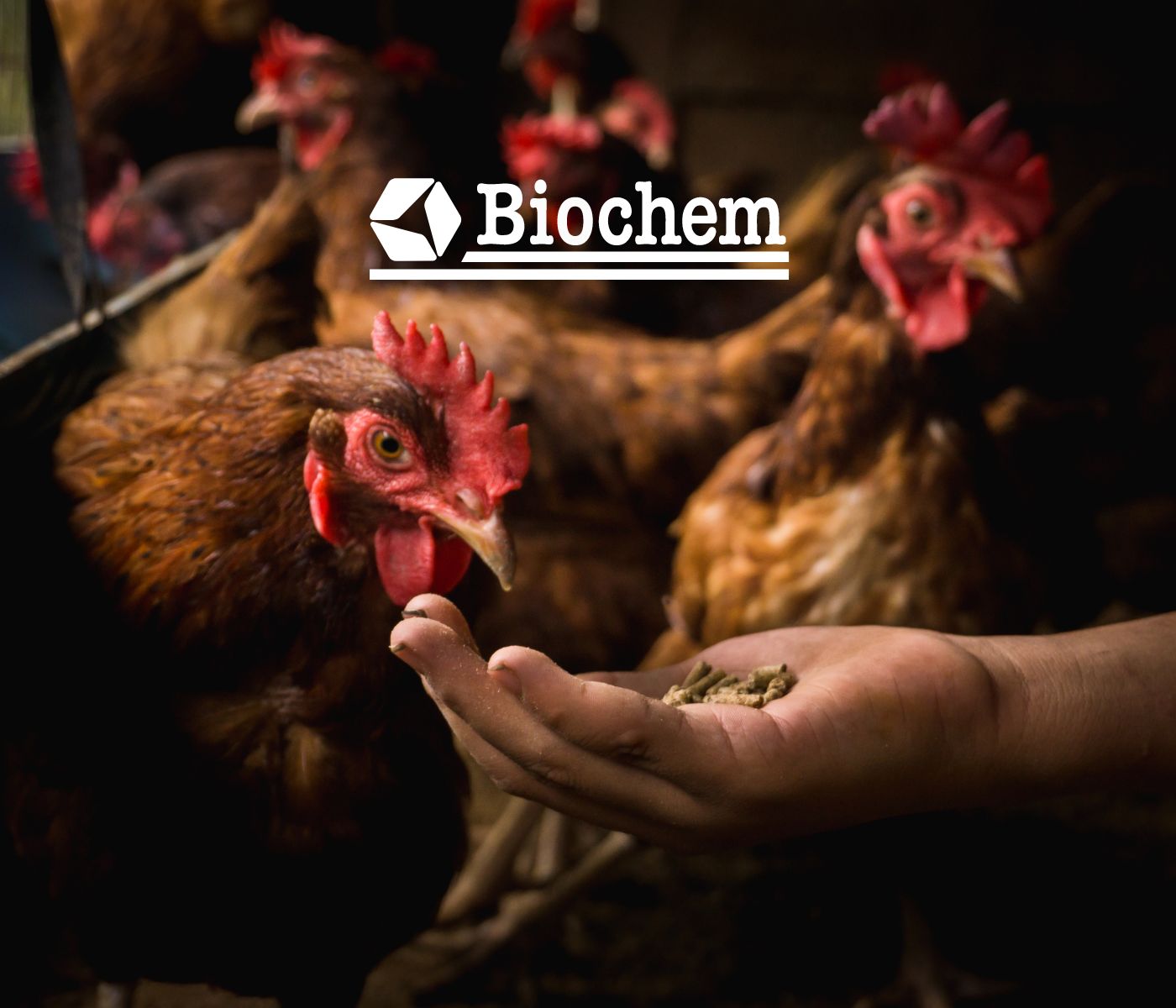 Biochem participa do SBSA e traz ao público todas as oportunidades para aves
