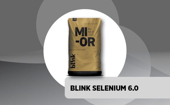 BLINK SELENIUM 6.0