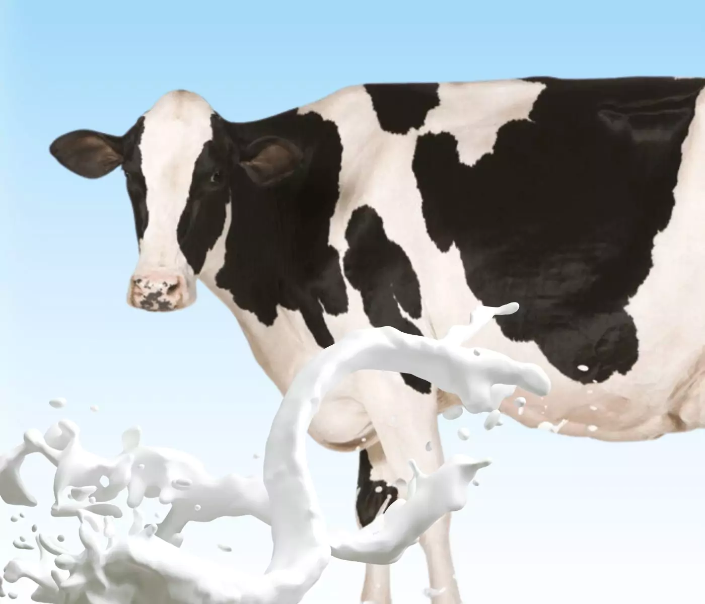 Forrajes novedosos para ganado lechero bovino y ovino