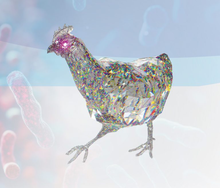 Não é apenas uma coleção de micróbios: o microbioma é um órgão das aves