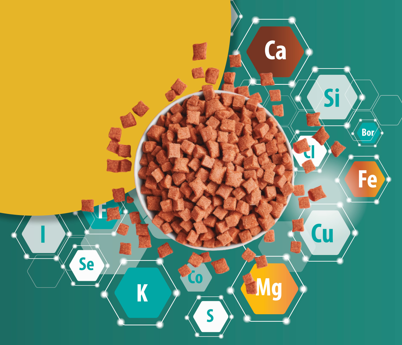 Minerals in Pet Nutrition: Extrusion Process and Shelf Life Impact