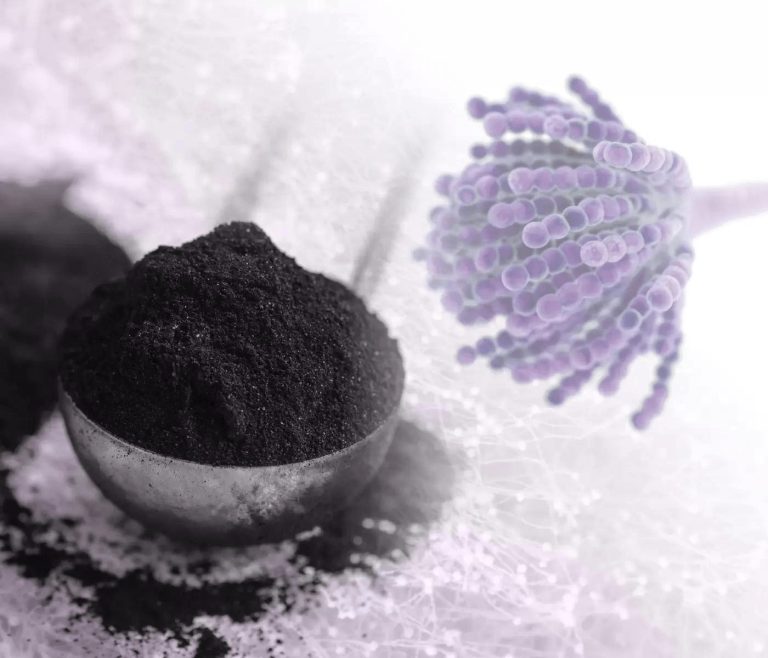 Novas abordagens para avaliar a eficácia dos adsorventes de micotoxinas