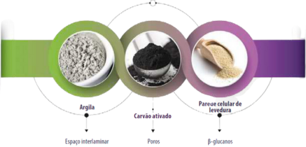 principais-adsorventes-de-micotoxinas