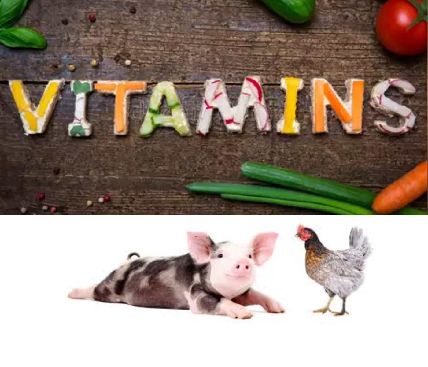 Unlocking the Potential: The Crucial Role of Vitamins in Livestock Nutrition