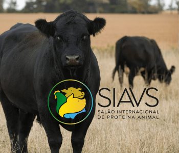 exportadores-de-carne-bovina-confirma-presenca-siavs