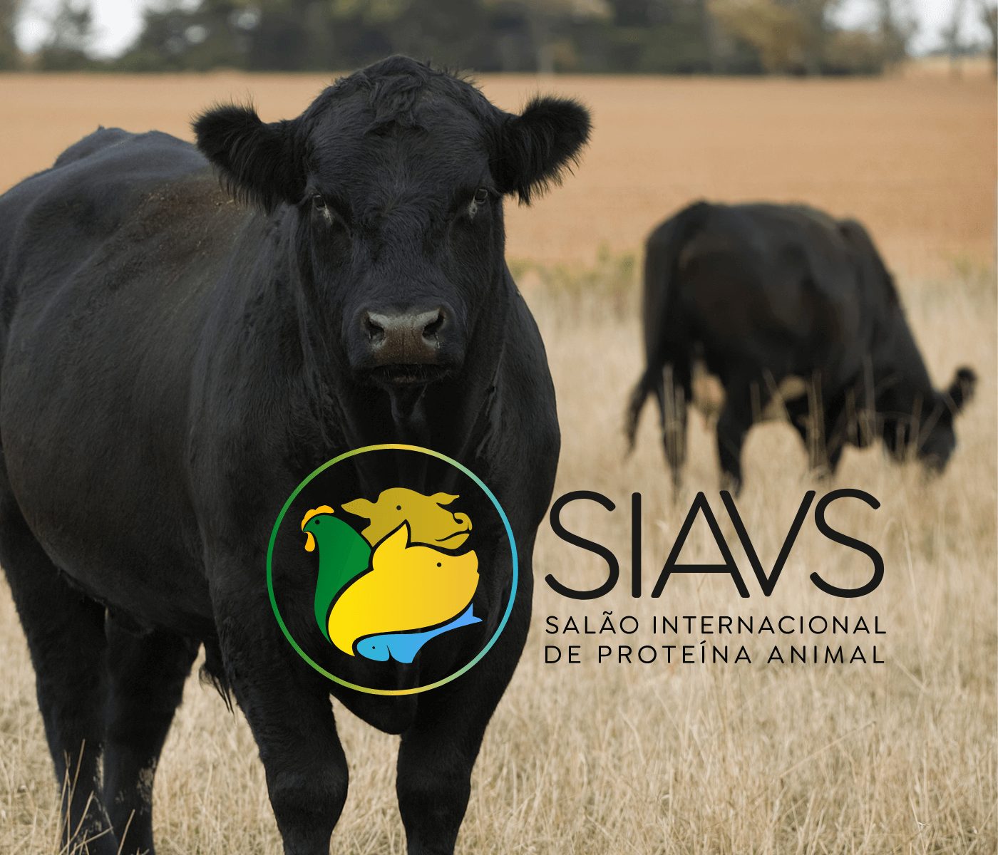 Doze exportadores de carne bovina confirmam presença no SIAVS