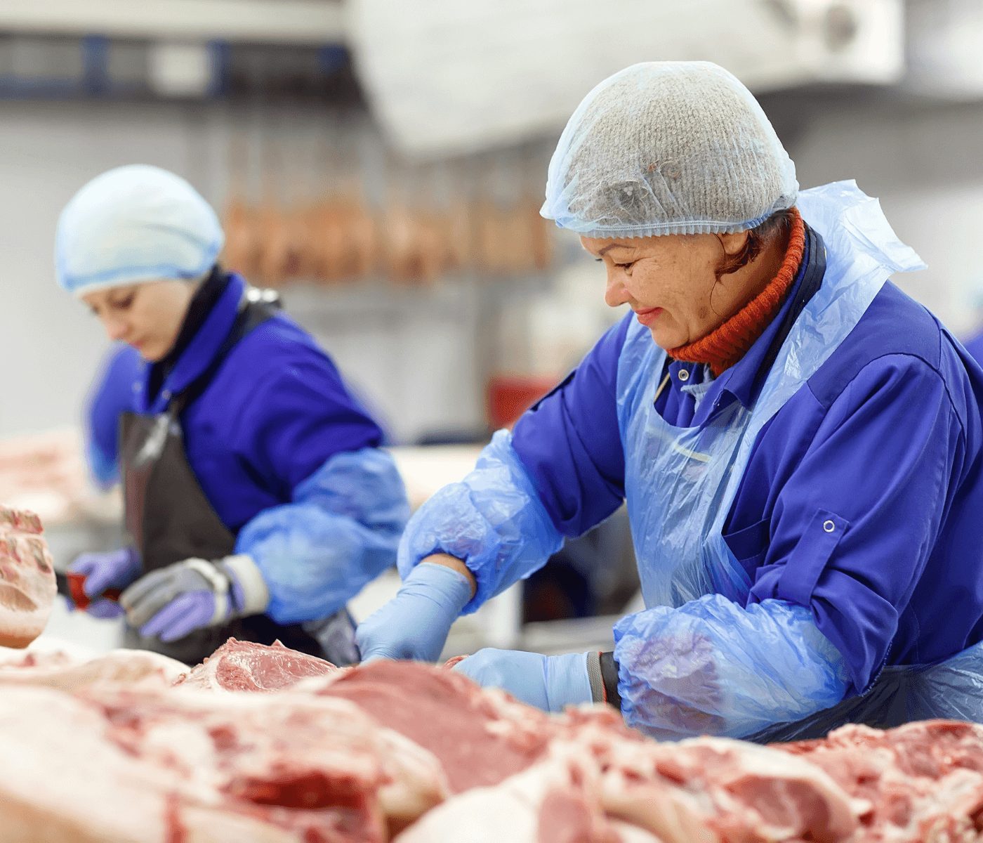 JBS terá maior unidade de carne bovina da América Latina...