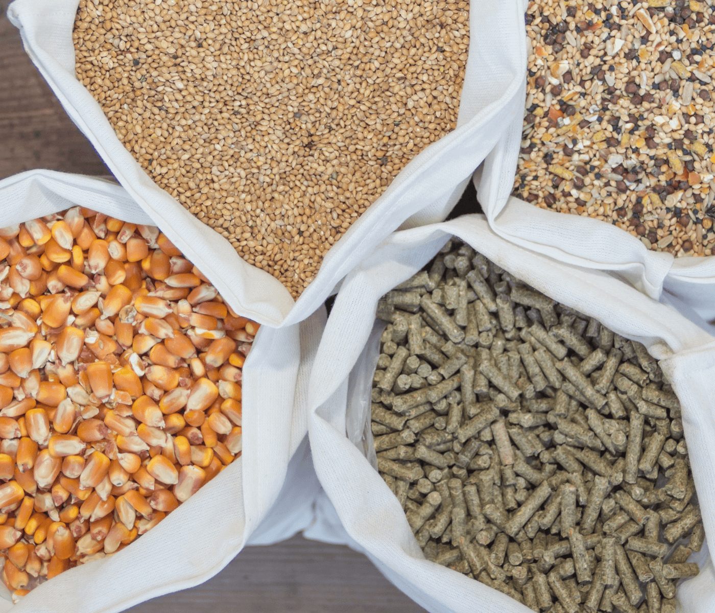Preço dos grãos diminuiu custos da alimentação animal em 2023, diz Sindirações