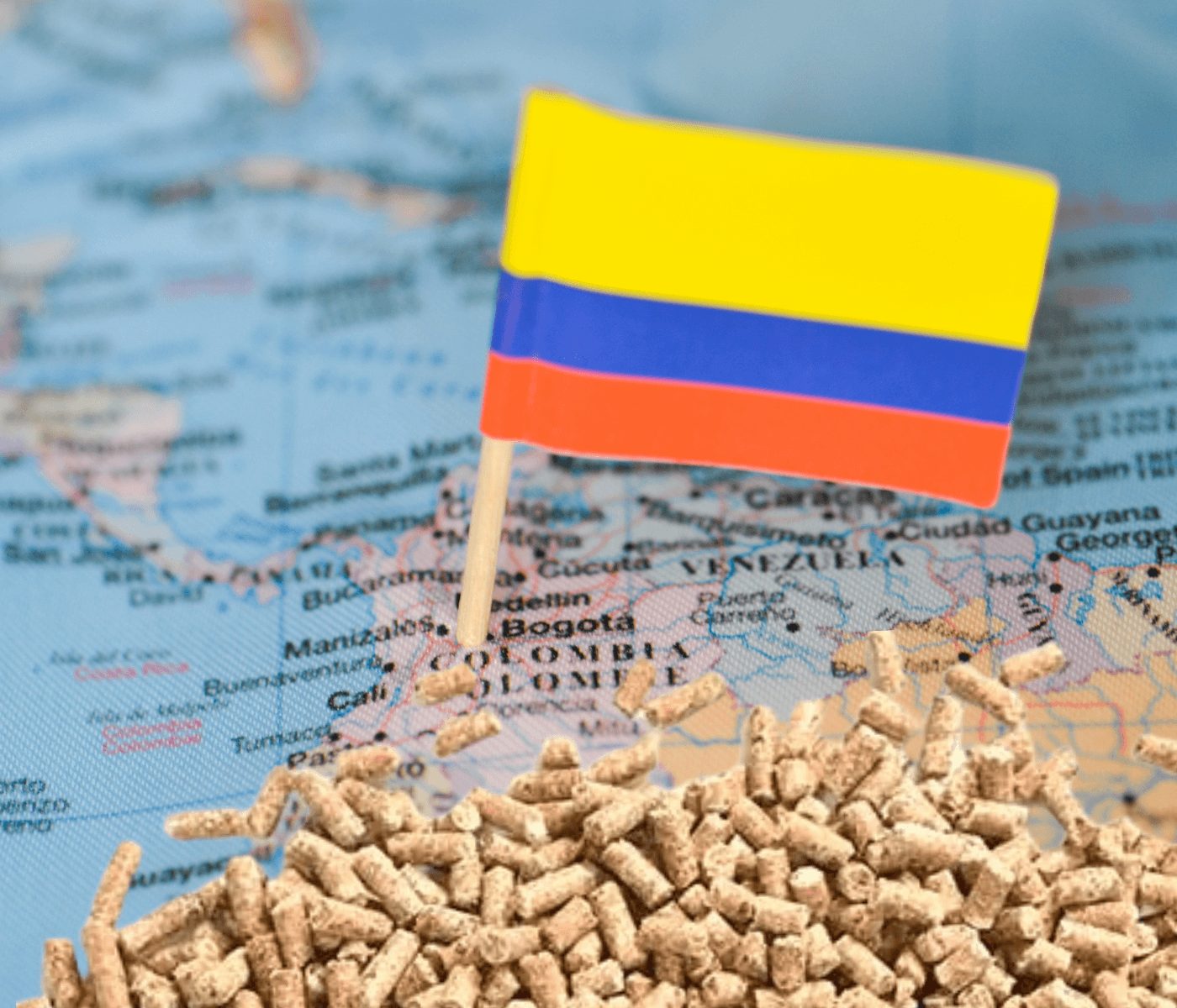 Alimentos balanceados: bajada de precios en Colombia