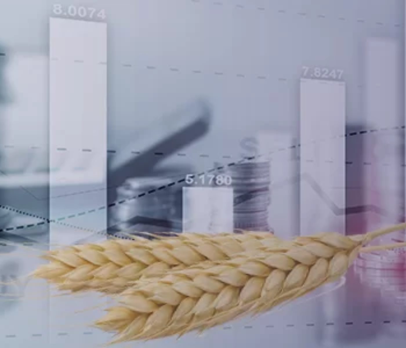 Assessing Global Grain Market Challenges