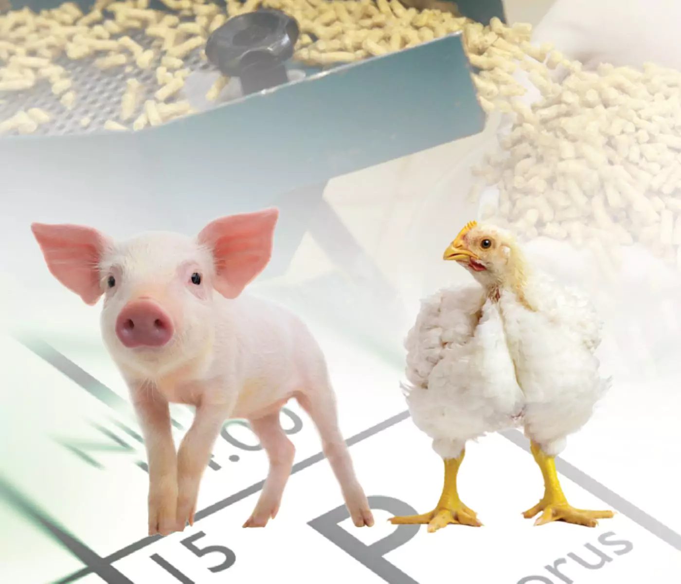 The 5th Edition of the Brazilian Tables for Poultry and Swine