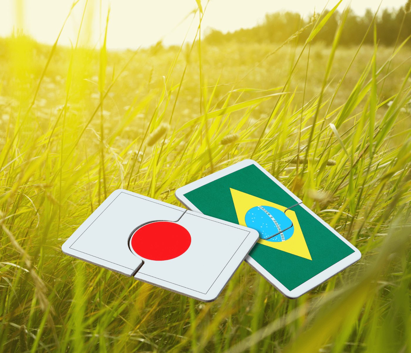 Brasil e Japão assinam parceria para recuperação de áreas degradadas