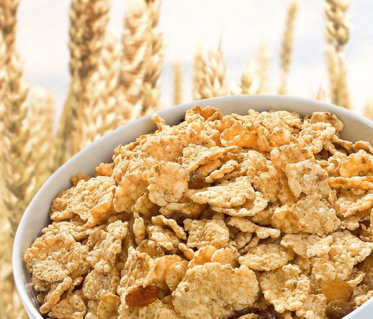 Ficha de MMPP: Antiguos alimentos