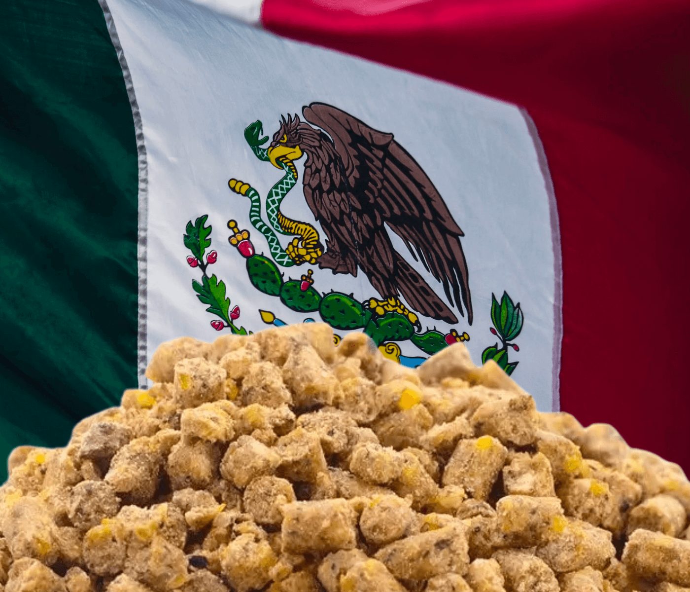 México destaca en la producción de alimentos balanceados
