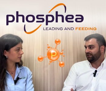 visao-especializada-phosphea-digestibilidade-do-fosforo