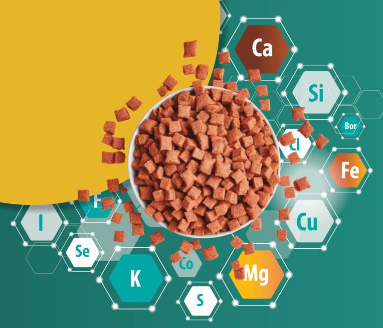 Importancia de los minerales para perros y gatos