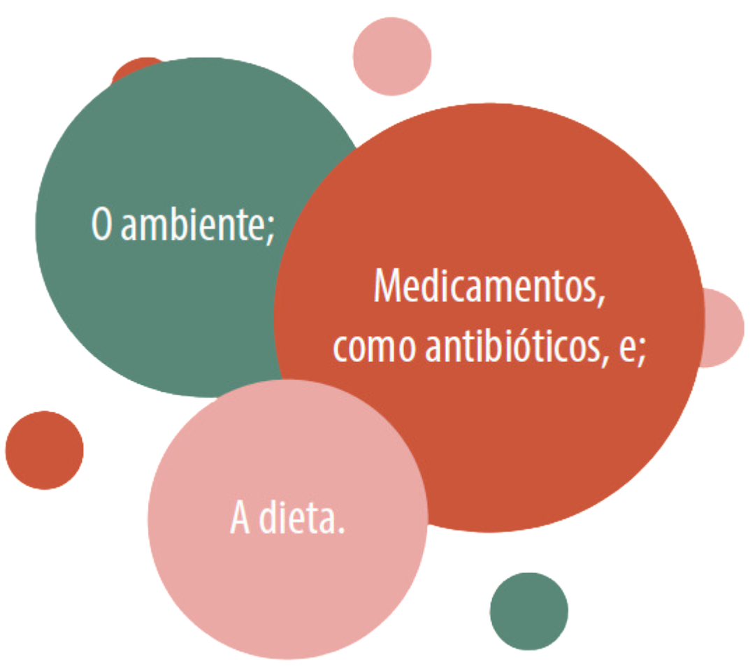 microbiota-intestinal-fatores