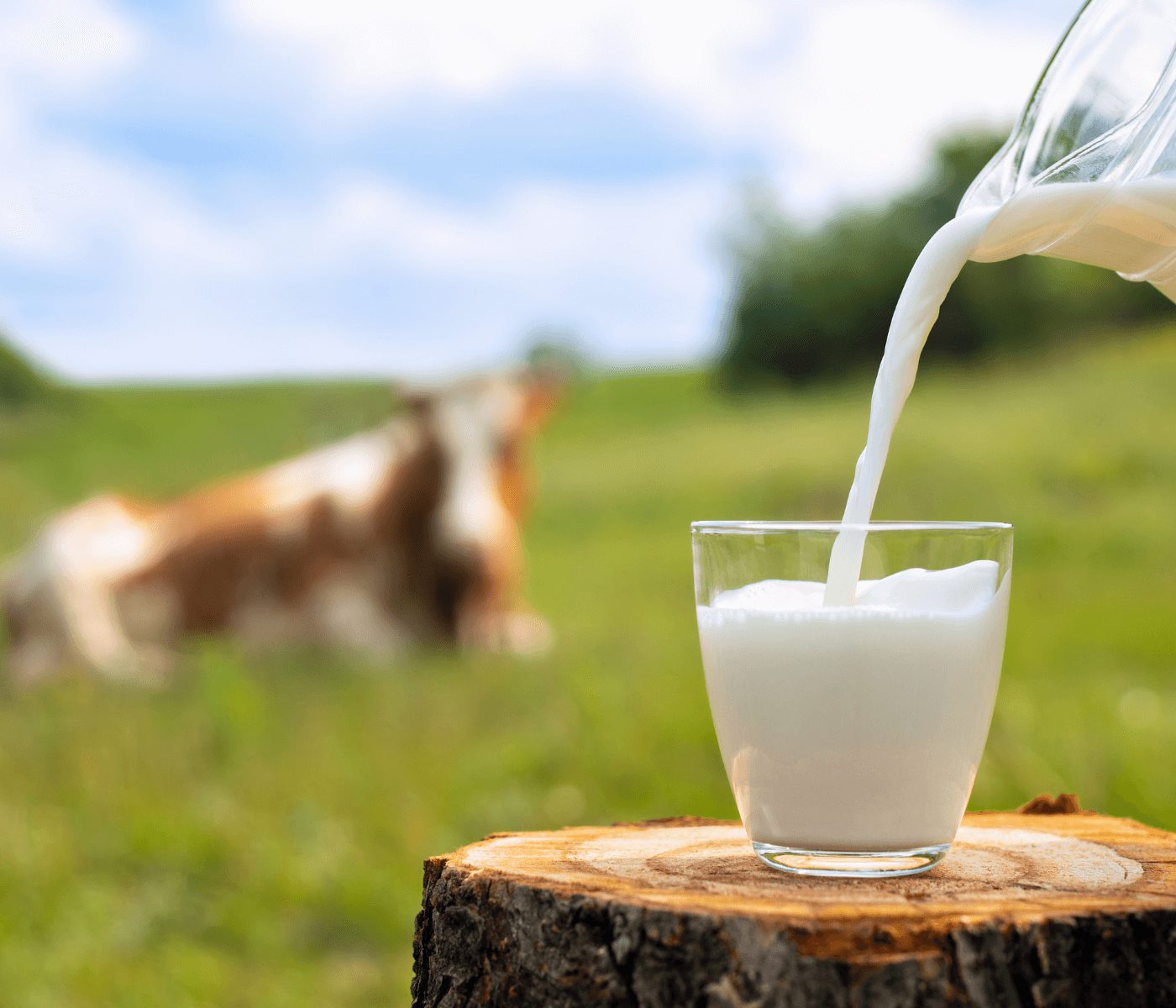 Evonik Science Academy debate tendências da produção de leite