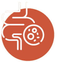 microbiota-intestinal