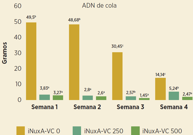 ervas-e-plantas-figura-2