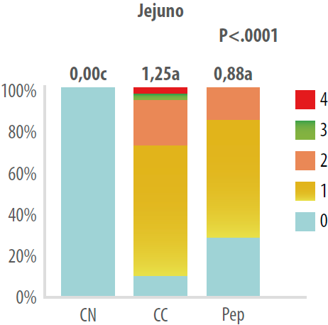 figura-2-jejuno-frangos