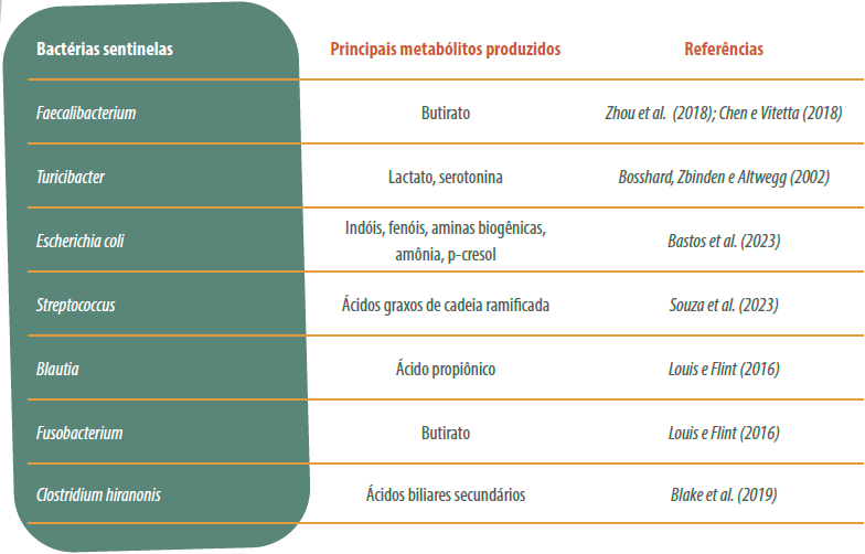 bacterias-microbiota-intestinal