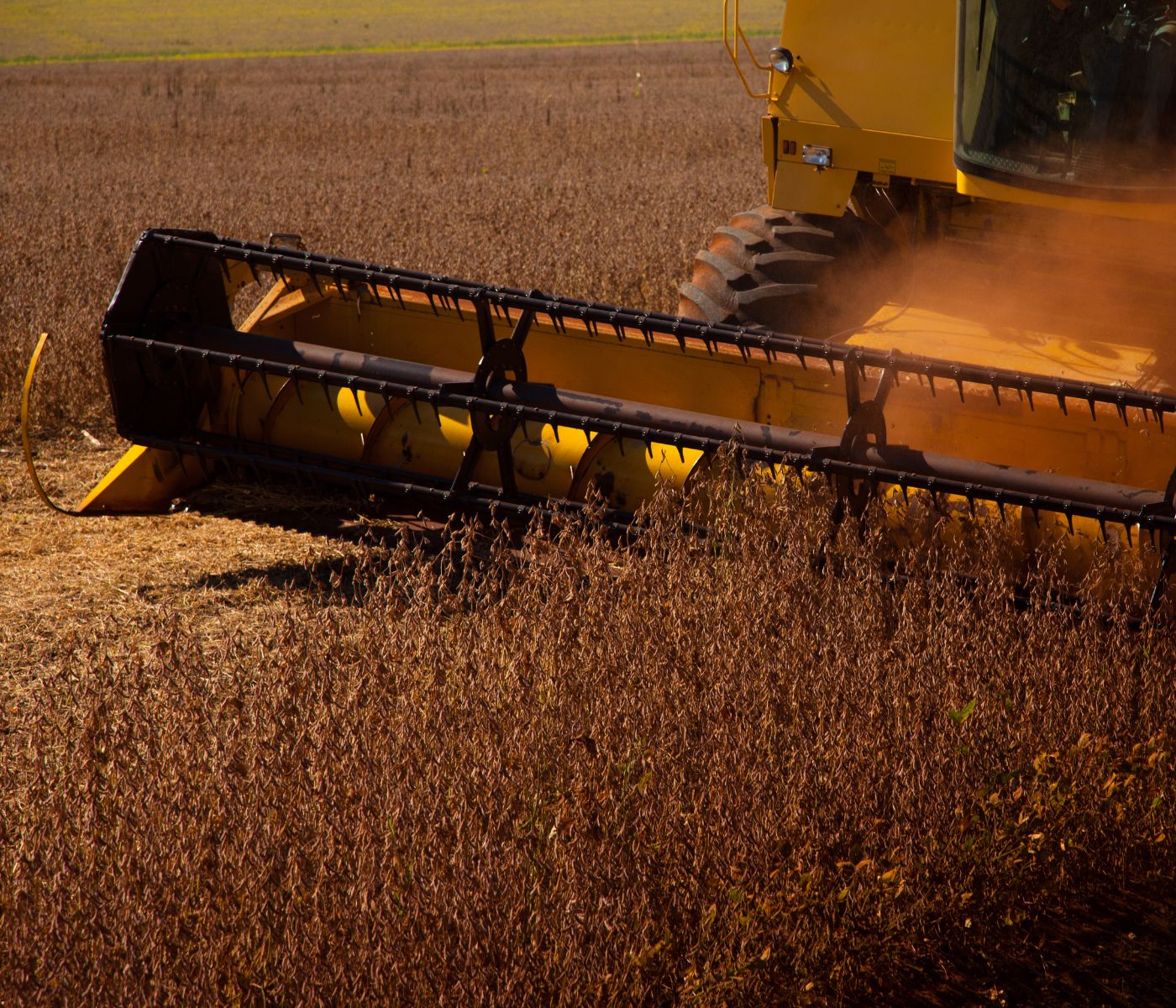 Brasil deve produzir 299,27 milhões de toneladas de grãos na safra 2023/2024