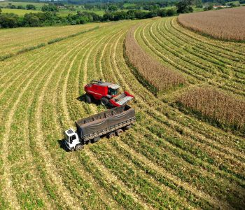 estudo-agro-brasileiro-natureza