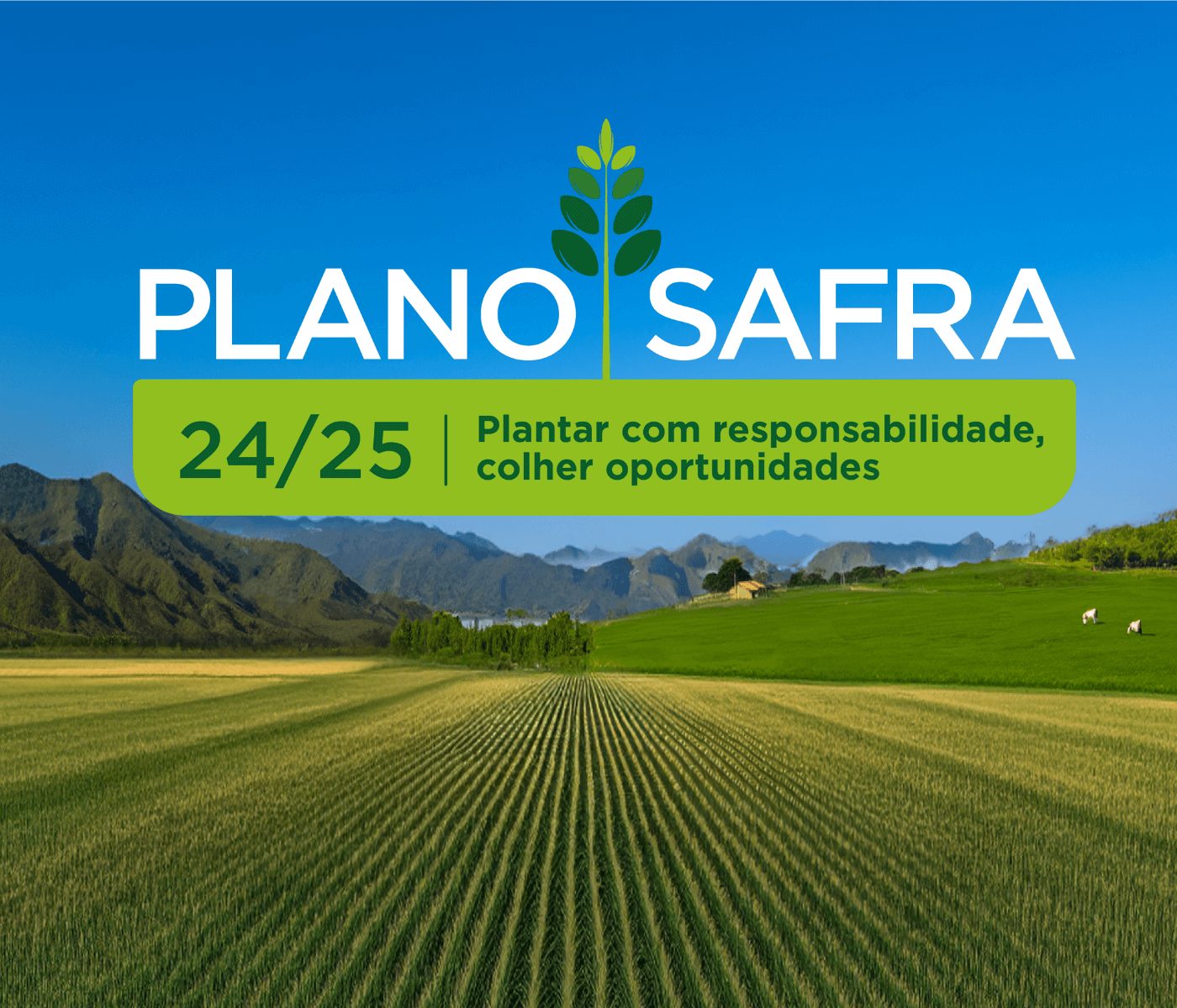 Governo Federal lança Plano Safra 24/25 com R$ 400,59 bilhões para agricultura