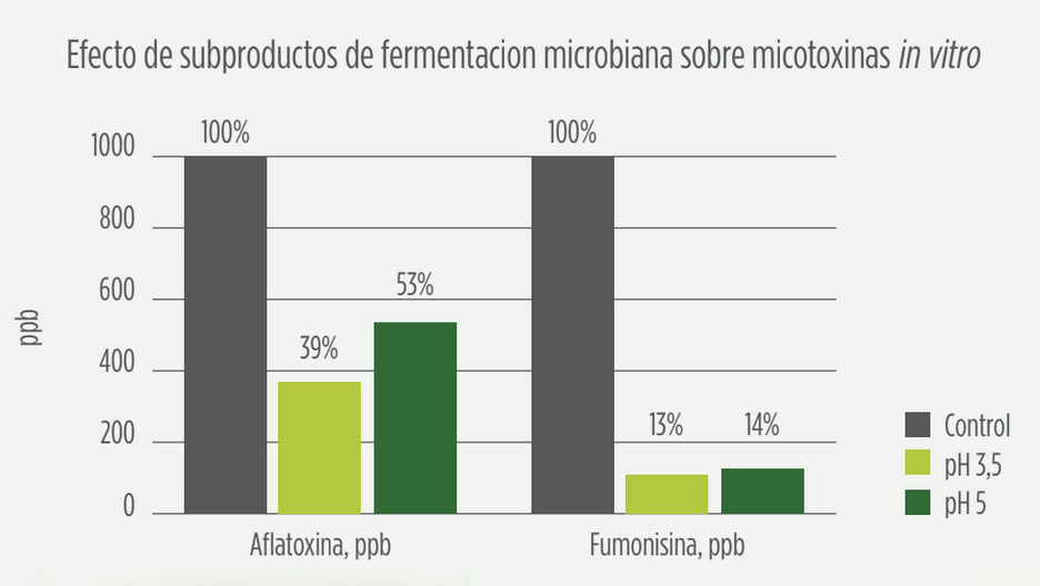 control aflatoxinas