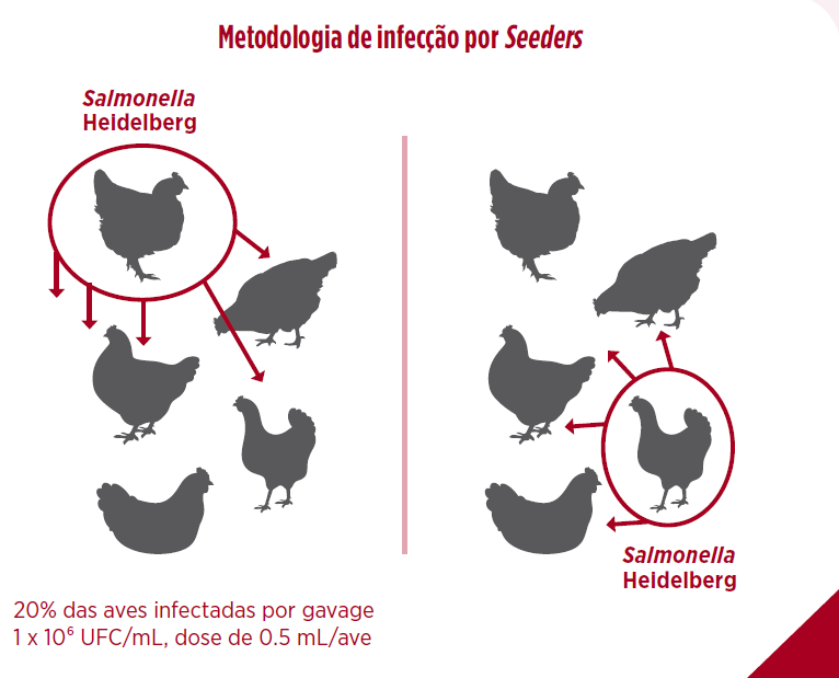 seeders-aditivos-nutricionais