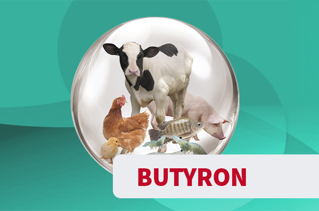 Butyron